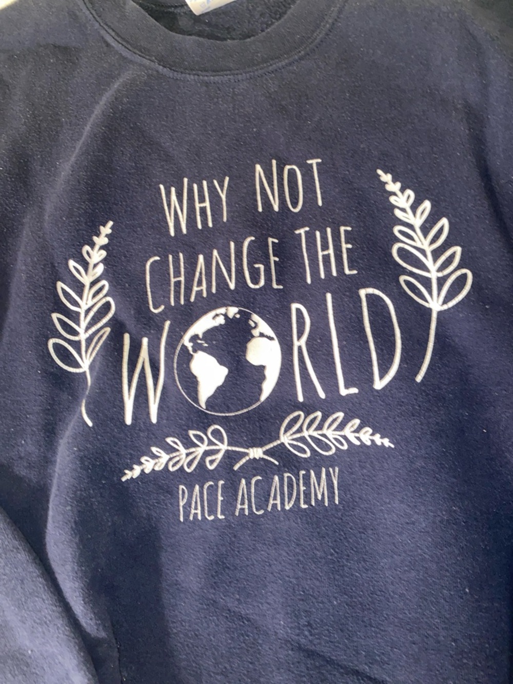 "Why Not Change The World" Graphic Sweatshirt